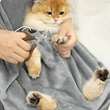 Cat Carrier Apron - LightsBetter